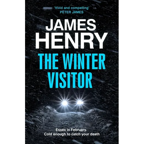 The Winter Visitor - Hardcover
