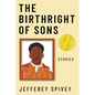 The Birthright of Sons: Stories - Hardcover