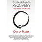 An Integral Guide to Recovery: Twelve Steps and Beyond - Paperback