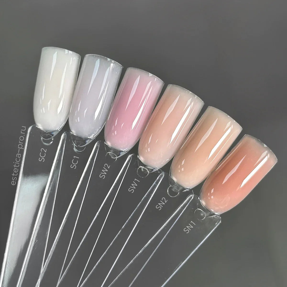 Akzentz - SC1 Trinity Shades Cool, 4g / 45g