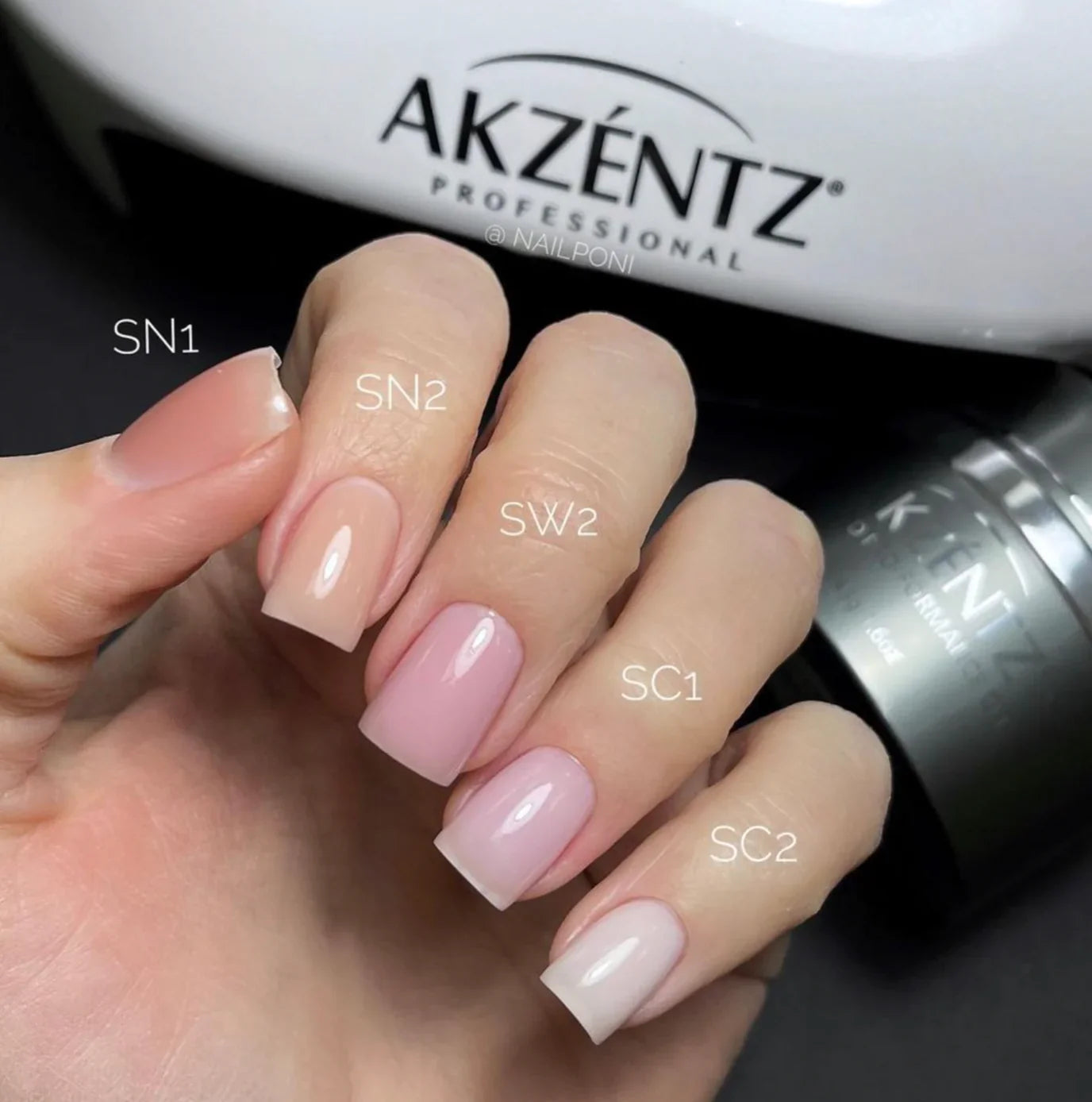 Akzentz - SC1 Trinity Shades Cool, 4g / 45g
