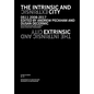 The Intrinsic and Extrinsic City - Paperback