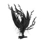 Rooted Raven Tree
