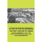 Cities in the Wilderness - The First Century of Urban Life in America 1625-1742 - Paperback