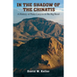 In the Shadow of the Chinatis: A History of Pinto Canyon in the Big Bend - Paperback