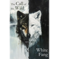 The Call of the Wild & White Fang - Paperback
