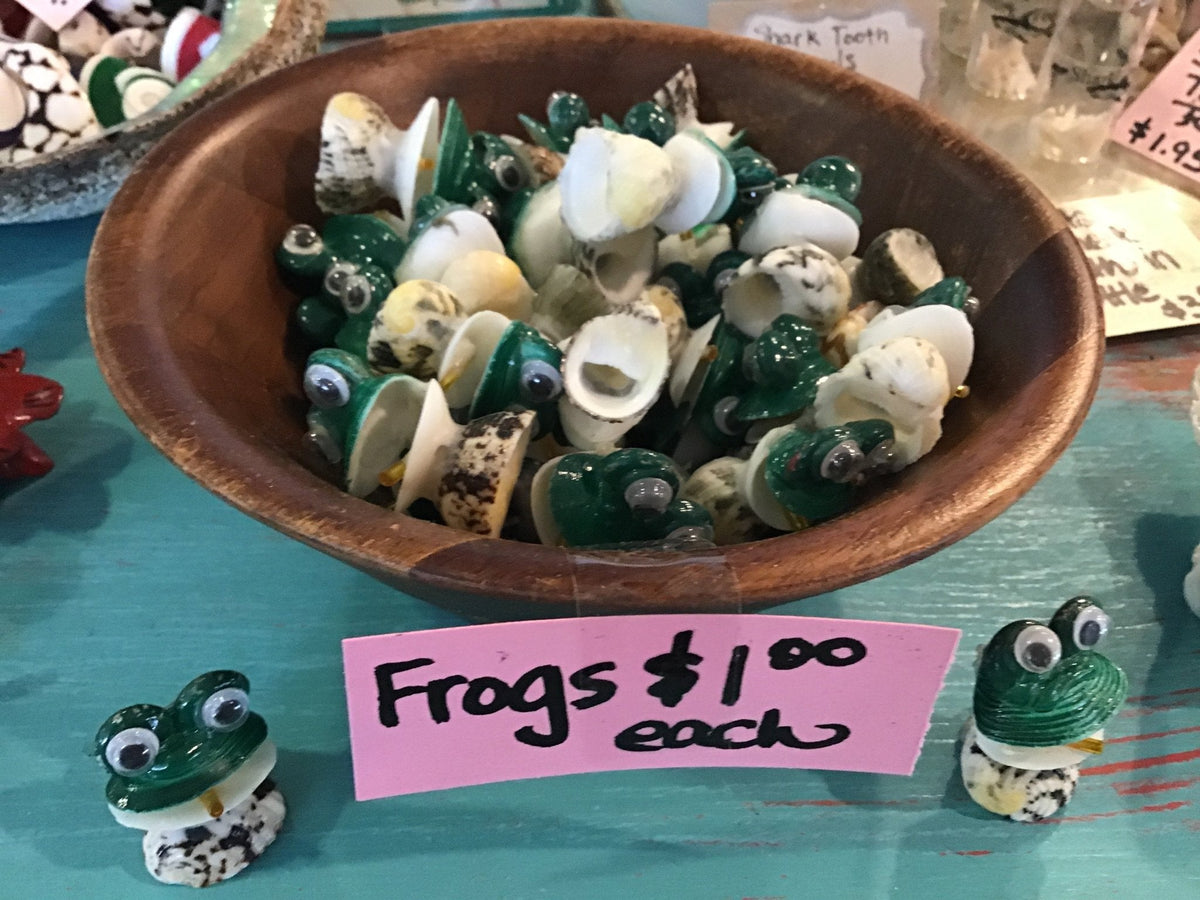 Seashell Frog