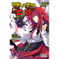 High School DXD, Vol. 10 (Light Novel): Lionheart of the Academy Festival Volume 10 - Paperback
