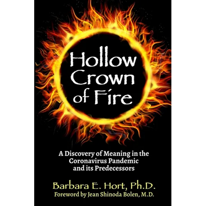 Hollow Crown of Fire: A Discovery of Meaning in the Coronavirus Pandemic and its Predecessors - Paperback