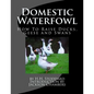 Domestic Waterfowl: How To Raise Ducks, Geese and Swans - Paperback