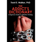 The Addict's Dictionary: A Beginner's Guide to Addictive Thinking - Paperback