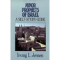 Minor Prophets of Israel: A Self-Study Guide - Paperback