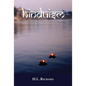 Hinduism: A Brief Look at Theology, History, Scriptures, and Social System with Comments on the Gospel in India - Paperback