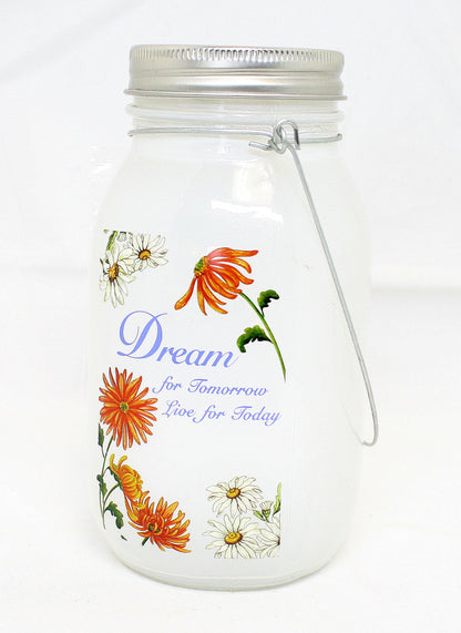 7 Inch Lighted Frosted Glass Jar -