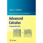 Advanced Calculus: A Geometric View - Hardcover