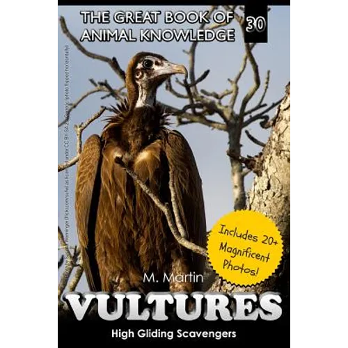 Vultures: High Gliding Scavengers - Paperback