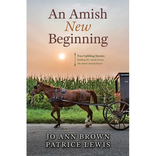 An Amish New Beginning - Library Binding