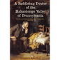 A Saddlebag Doctor of the Mahantongo Valley of Pennsylvania: The Life and Practice of Reuben Harris Muth, M.D., 1826-1899 - Paperback