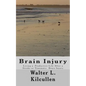 Brain Injury: Living a Productive Life After a Stroke or Traumatic Brain Injury - Paperback
