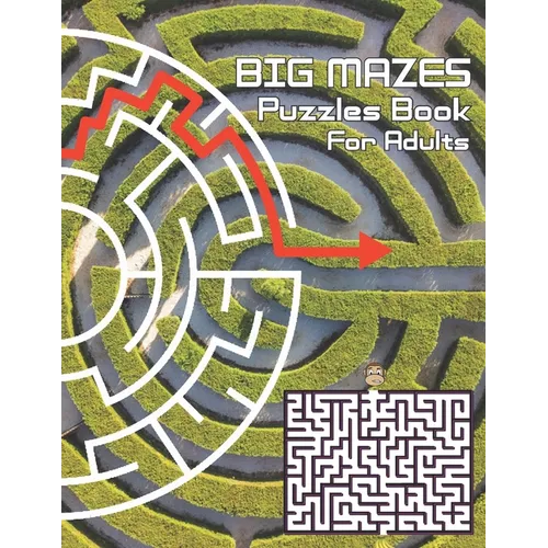 Big Mazes Puzzles Book For Adults: Challenge and Fun for your Brain, Square Mazes Level Two-Player Mazes Books for Beginner to Expert, Maze Puzzle Boo - Paperback