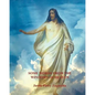 Some Words from the Windows of Heaven - Paperback