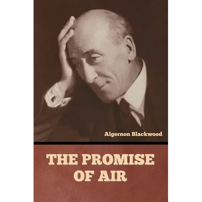The Promise of Air - Paperback