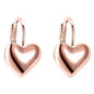 Sleek Heart Shaped Leverback Earrings