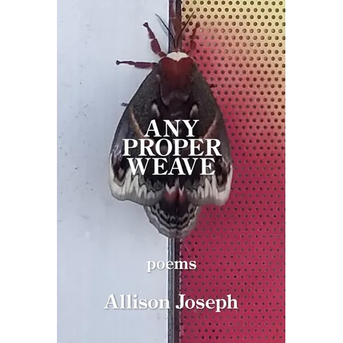 Any Proper Weave - Paperback