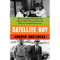 Satellite Boy: The International Manhunt for a Master Thief That Launched the Modern Communication Age - Hardcover