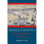 Rebels Rising: Cities and the American Revolution - Paperback
