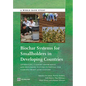 Biochar Systems for Smallholders in Developing Countries: Leveraging Current Knowledge and Exploring Future Potential for Climate-Smart Agriculture - Paperback