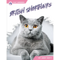 British Shorthairs - Paperback