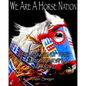 We Are A Horse Nation: The Making Of The Documentary Film And More - Paperback