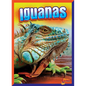Iguanas - Hardcover