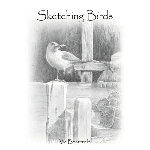 Sketching Birds - Paperback