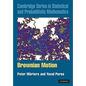 Brownian Motion - Hardcover