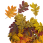 Bag of 36 Faux Harvest Leaves