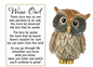 Wise Owl Pocket Stone