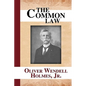 The Common Law - Paperback