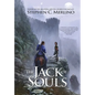 The Jack of Souls (Fantasy): A Rogue and Knight Adventure Series - Hardcover