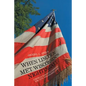 When Lincoln Met Wisconsin's Nightingale: Cordelia Harvey's Campaign for Civil War Soldier Care - Paperback