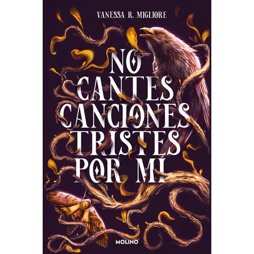 No Cantes Canciones Tristes Por Mí / Don't Sing Sad Songs Because of Me - Paperback