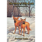 The Story of Lilly & Lou: Based on a True Story - Paperback