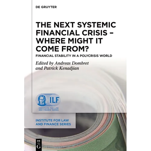 The Next Systemic Financial Crisis - Where Might It Come From?: Financial Stability in a Polycrisis World - Hardcover