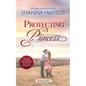 Protecting the Princess: A Small-Town Clean Romance - Paperback