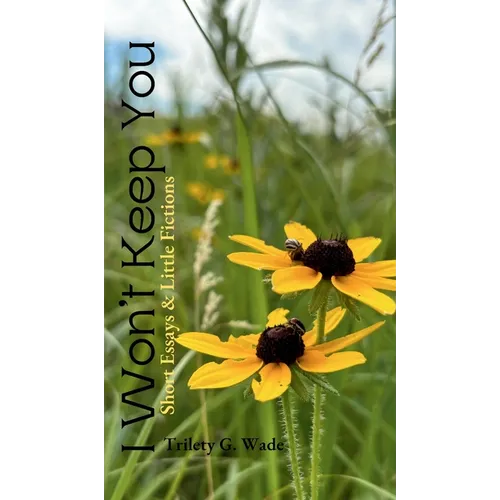 I Won't Keep You: Short Essays & Little Fictions - Hardcover