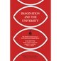 Imagination and the University - Paperback
