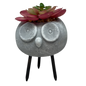 Faux 2 Tone Succulent In Planter - Owl
