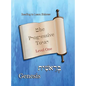 The Progressive Torah: Level One Genesis: Color Edition - Hardcover