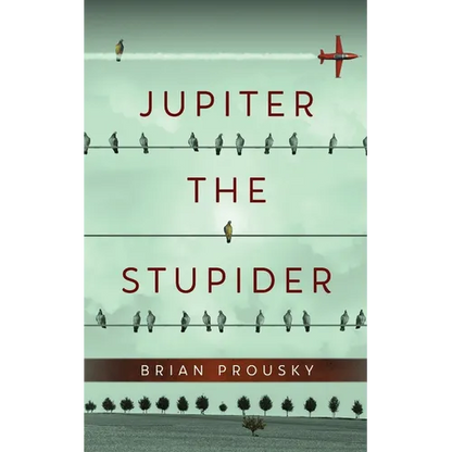 Jupiter the Stupider - Paperback